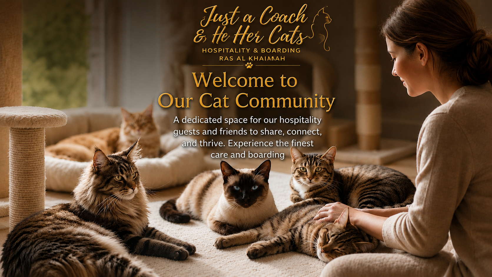 Just a Coach & Her Cats